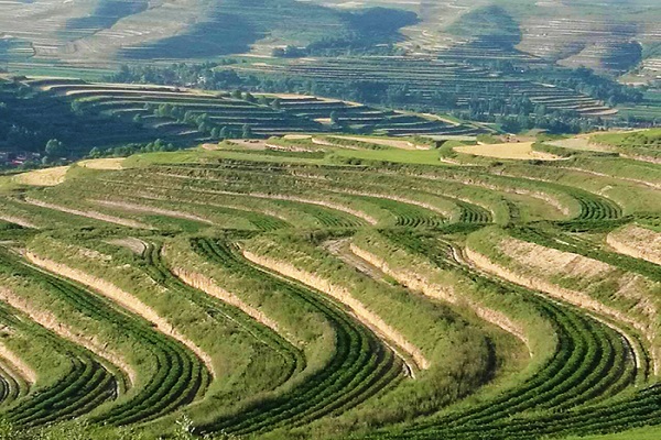 小流域綜合治理實施方案編制